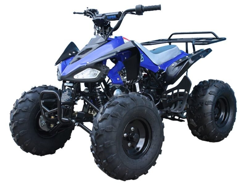 Tao Motor CHEETAH 125 ATV, Air-Cooled 4-Stroke Engine, Single Cylinder, Electric Start For Sale - Image 3