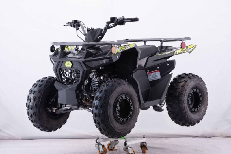 New Vitacci Pentora iRide 125cc ATV, 4-Stroke Single Cylinder, Air-Cooled, Upward Camshaft with Balance Shaft For Sale - Image 2