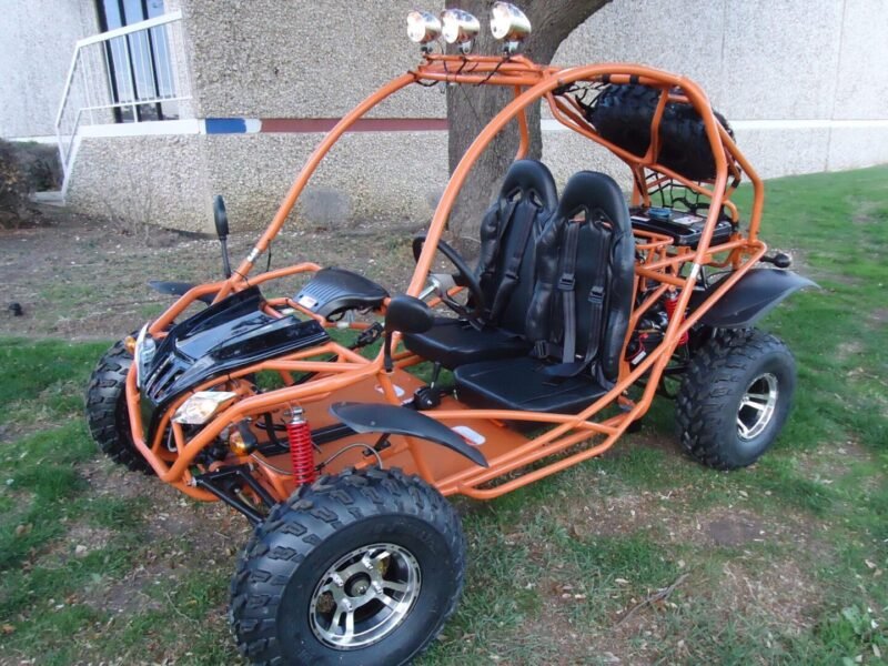 RPS Standard 200 (TK200GK-10) Dune Buggy Go-Kart, Automatic, 4-Stroke, Single Cylinder, Forced Air Cooling For Sale