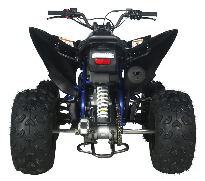 Vitacci Pentora 200 EFI ATV, Fully Automatic, 4-Stroke Air-Cooled SOHC Engine with Electric Start For Sale - Image 5