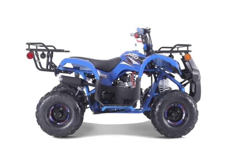 New Tao Motor D125 ATV 107cc, Air Cooled, 4-Stroke, 1-Cylinder, Automatic with Reverse For Sale - Image 10