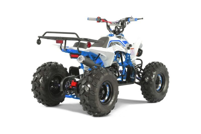 New Tao Motor CHEETAH ATV 107cc, Air Cooled, 4-Stroke, 1-Cylinder, Automatic with Reverse For Sale - Image 11