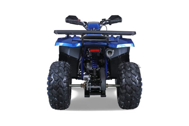 Tao Motor G200 utility ATV, 169cc, Air Cooled, 4-stroke, single cylinder, automatic For Sale - Image 11