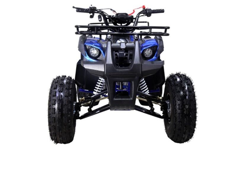 Tao Motor New T-Force 125 Mid-Size Utility ATV, Air-Cooled, 4-Stroke, Single Cylinder, Fully Automatic with Reverse For Sale - Image 11