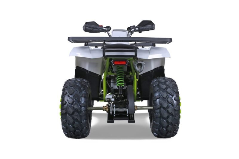 Tao Motor G200 utility ATV, 169cc, Air Cooled, 4-stroke, single cylinder, automatic For Sale - Image 12