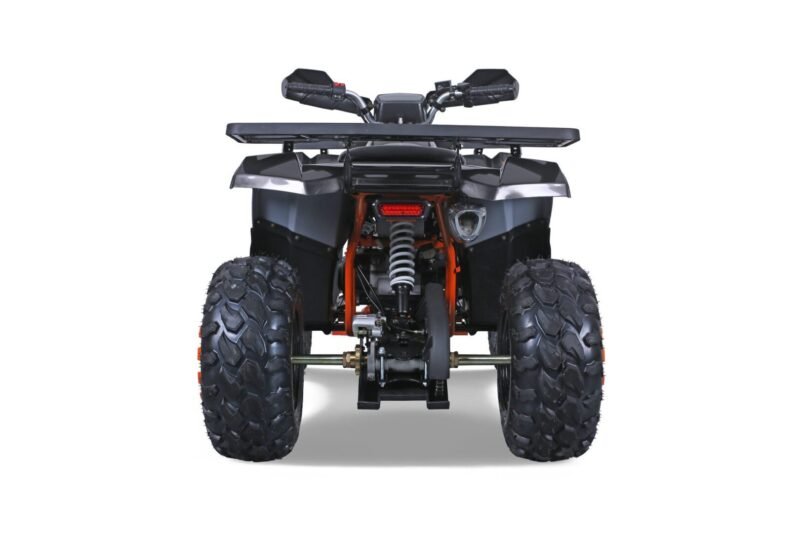 Tao Motor G200 utility ATV, 169cc, Air Cooled, 4-stroke, single cylinder, automatic For Sale - Image 13