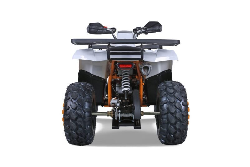 Tao Motor G200 utility ATV, 169cc, Air Cooled, 4-stroke, single cylinder, automatic For Sale - Image 14