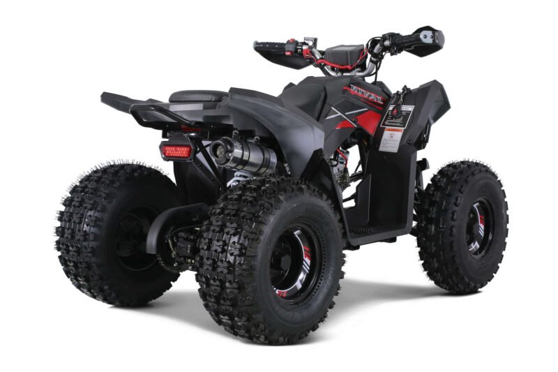 Rival Motor TRAILHAWK 10 ATV, 4-Stroke, Air-Cooled, Single Cylinder For Sale - Image 9