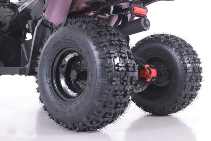 New Rival Motor MUDHAWK 10 ATV, 120cc, 4-Stroke, Air-Cooled, Single Cylinder For Sale - Image 16