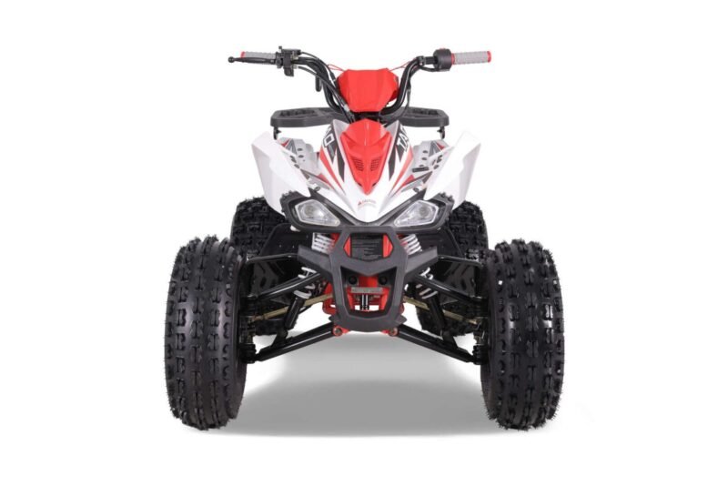 Tao Motor CHEETAH PLATINUM ATV, 120cc Air-Cooled 4-Stroke, Single Cylinder, Fully Automatic with Reverse For Sale - Image 17