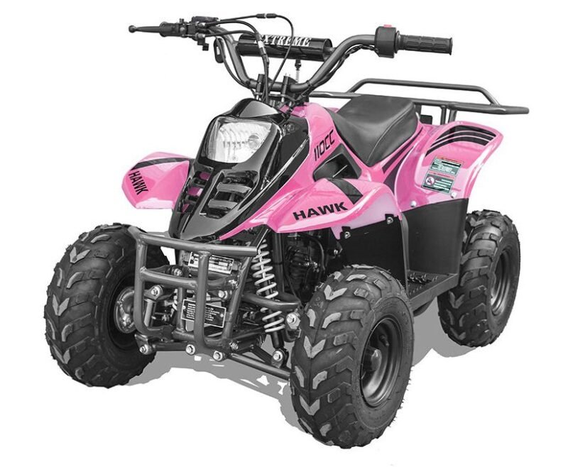 Vitacci Rex 110 Kids ATV, 4-stroke, single-cylinder, air-cooled For Sale - Image 2
