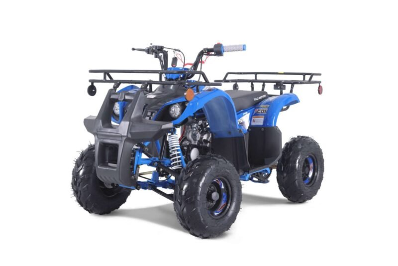 Tao Motor New 2022 D125 ATV, 107cc Engine, Fully Automatic Transmission & Reverse, Air-Cooled 4-Stroke For Sale - Image 2