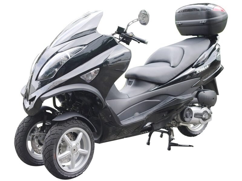 Icebear Maximus (PST300-20) For Sale - Image 2