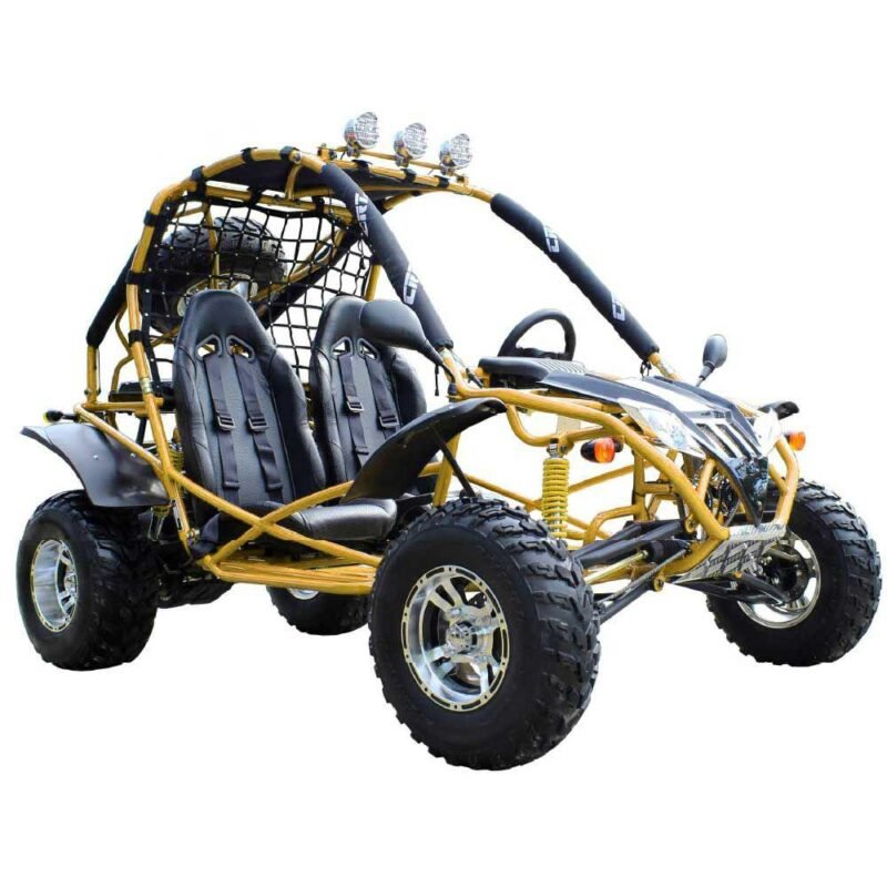 RPS Standard 200 (TK200GK-10) Dune Buggy Go-Kart, Automatic, 4-Stroke, Single Cylinder, Forced Air Cooling For Sale - Image 2