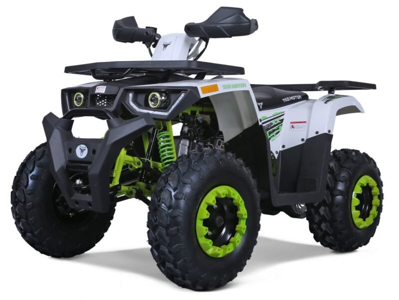 Tao Motor G200 utility ATV, 169cc, Air Cooled, 4-stroke, single cylinder, automatic For Sale - Image 2