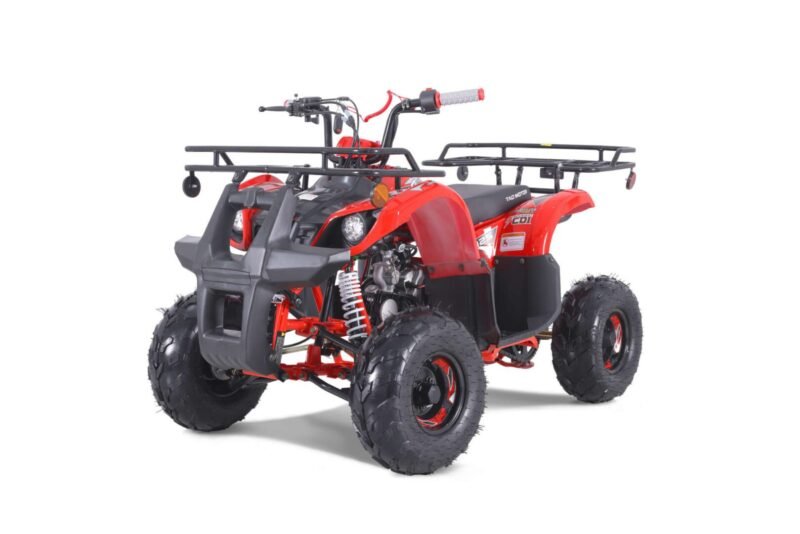 New Tao Motor D125 ATV 107cc, Air Cooled, 4-Stroke, 1-Cylinder, Automatic with Reverse For Sale - Image 23