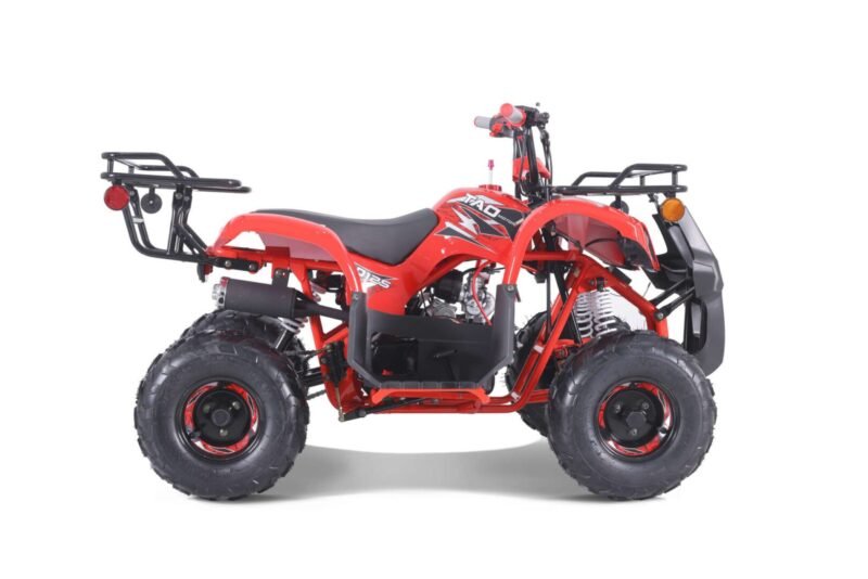 New Tao Motor D125 ATV 107cc, Air Cooled, 4-Stroke, 1-Cylinder, Automatic with Reverse For Sale - Image 25