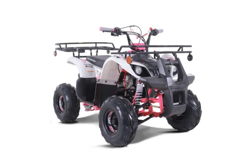 New Tao Motor D125 ATV 107cc, Air Cooled, 4-Stroke, 1-Cylinder, Automatic with Reverse For Sale - Image 27