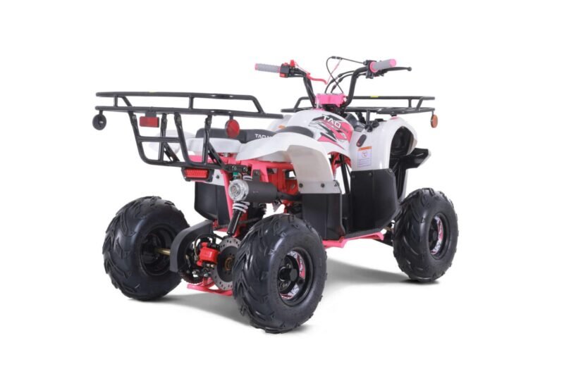 New Tao Motor D125 ATV 107cc, Air Cooled, 4-Stroke, 1-Cylinder, Automatic with Reverse For Sale - Image 28