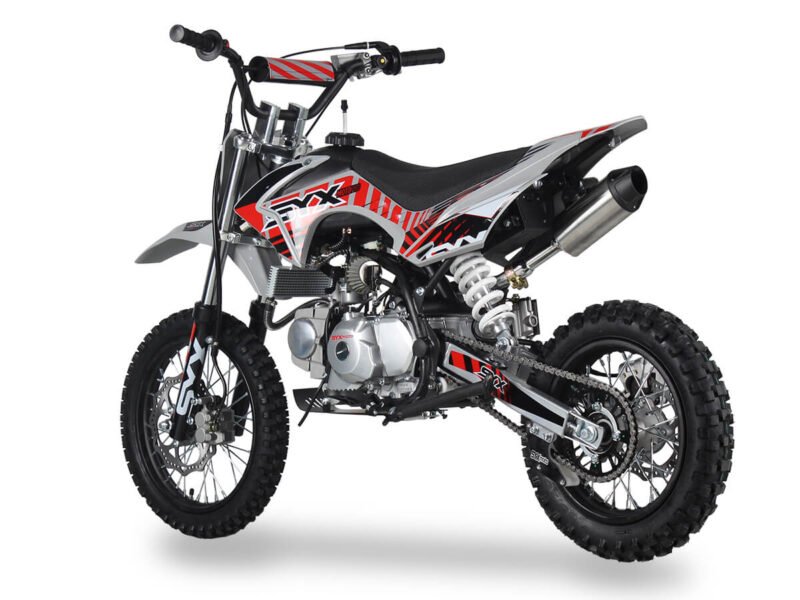 Icebear SYX PRO ROOST 125cc Pit Bike (2024) , HS Engine, Fully Automatic, Electric Start (PAD125-1F) For Sale - Image 2