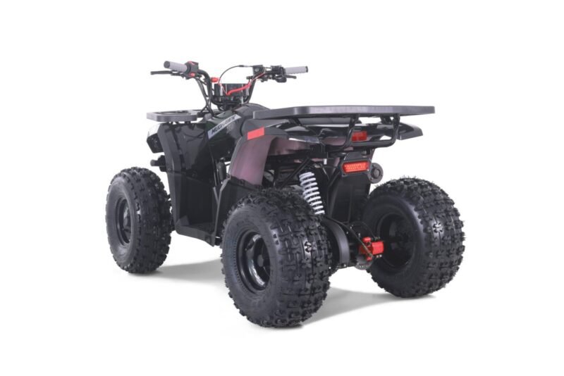 New Rival Motor MUDHAWK 10 ATV, 120cc, 4-Stroke, Air-Cooled, Single Cylinder For Sale - Image 3