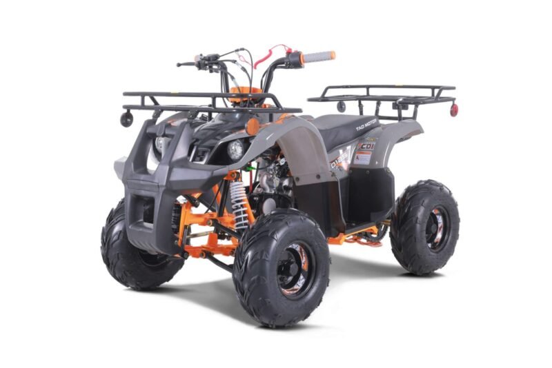 Tao Motor New 2022 D125 ATV, 107cc Engine, Fully Automatic Transmission & Reverse, Air-Cooled 4-Stroke For Sale - Image 4