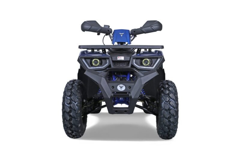 Tao Motor G200 utility ATV, 169cc, Air Cooled, 4-stroke, single cylinder, automatic For Sale