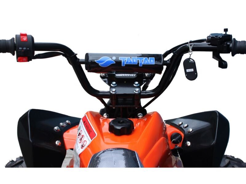 Tao Motor CHEETAH 125 ATV, Air-Cooled 4-Stroke Engine, Single Cylinder, Electric Start For Sale - Image 5