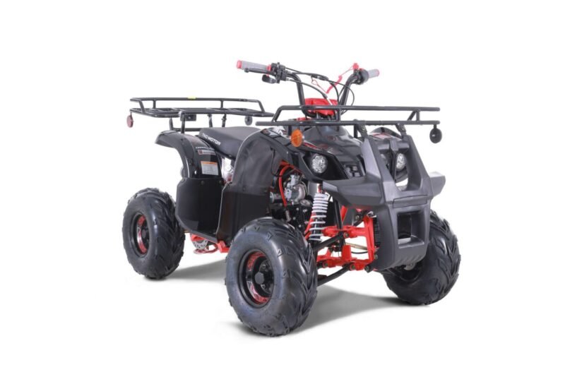 New Tao Motor D125 ATV 107cc, Air Cooled, 4-Stroke, 1-Cylinder, Automatic with Reverse For Sale - Image 6