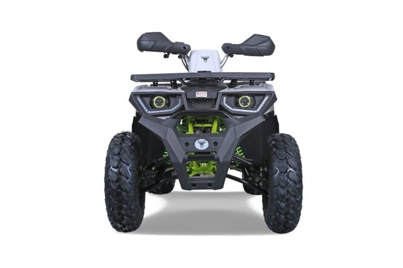 Tao Motor G200 utility ATV, 169cc, Air Cooled, 4-stroke, single cylinder, automatic For Sale - Image 5