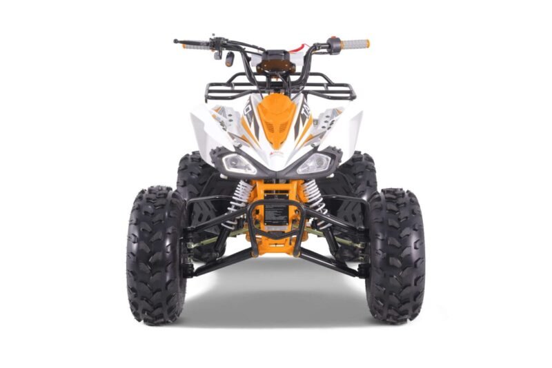 New Tao Motor CHEETAH ATV 107cc, Air Cooled, 4-Stroke, 1-Cylinder, Automatic with Reverse For Sale - Image 6