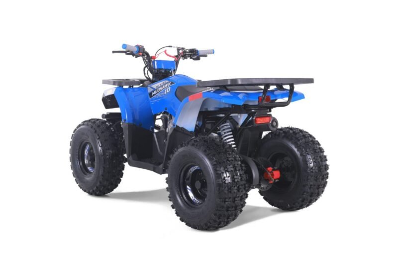 New Rival Motor MUDHAWK 10 ATV, 120cc, 4-Stroke, Air-Cooled, Single Cylinder For Sale - Image 6