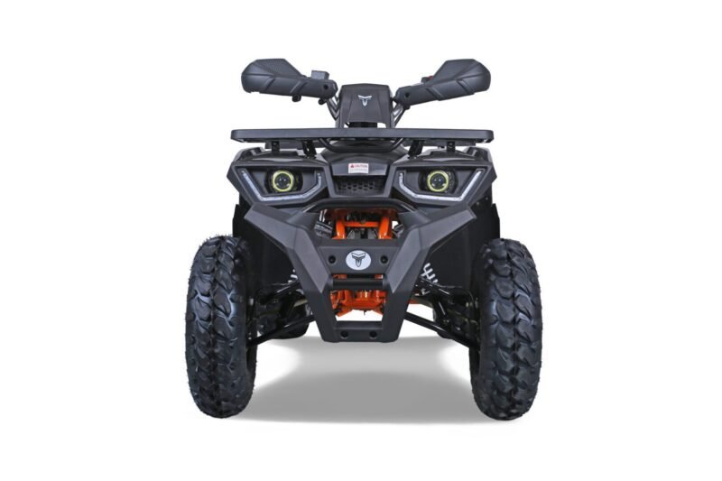 Tao Motor G200 utility ATV, 169cc, Air Cooled, 4-stroke, single cylinder, automatic For Sale - Image 6