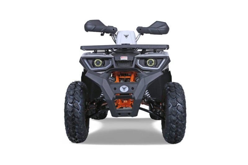 Tao Motor G200 utility ATV, 169cc, Air Cooled, 4-stroke, single cylinder, automatic For Sale - Image 7