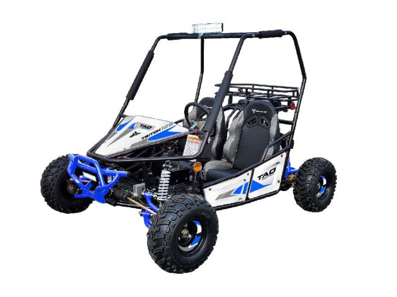 Tao Motor Triton 125Cc Go-kart, Fully Automatic With Reverse, Air Cooled, 4-Stroke, Single Cylinder, Electric Start For Sale - Image 8