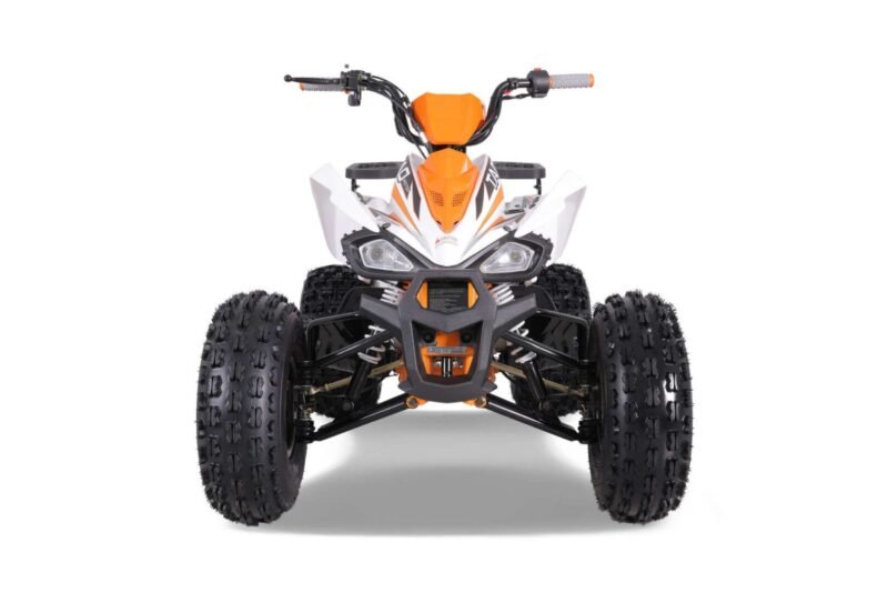 Tao Motor CHEETAH PLATINUM ATV, 120cc Air-Cooled 4-Stroke, Single Cylinder, Fully Automatic with Reverse For Sale - Image 9