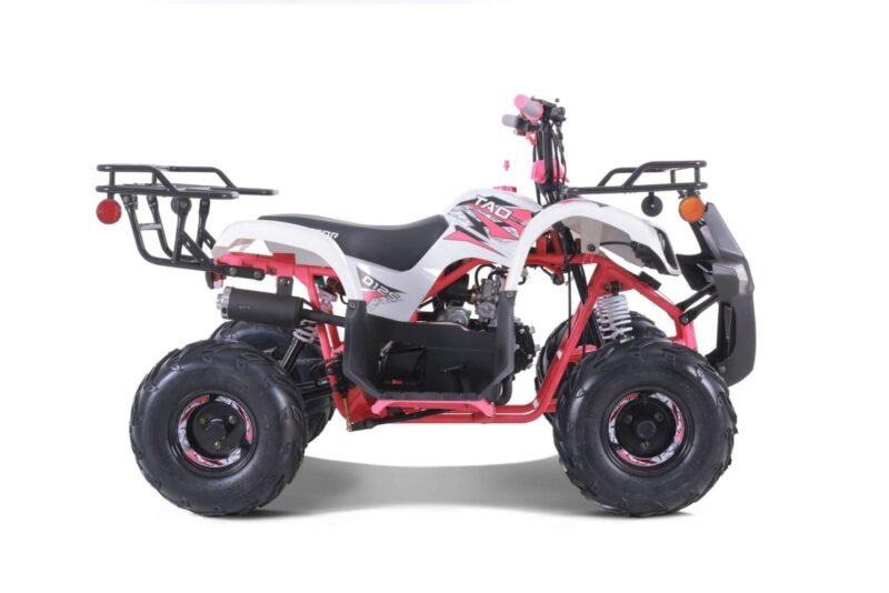 Tao Motor New 2022 D125 ATV, 107cc Engine, Fully Automatic Transmission & Reverse, Air-Cooled 4-Stroke For Sale - Image 28