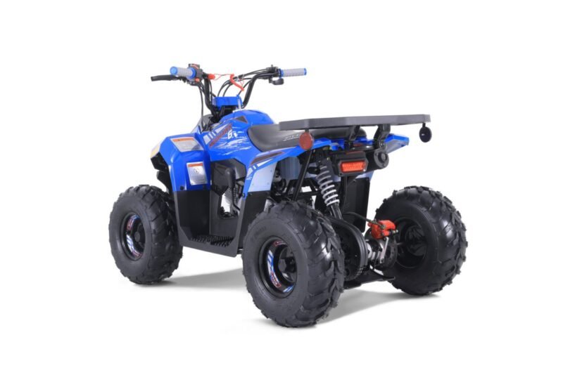 Tao Rival Mudhawk 6 110cc Automatic ATV For Sale - Image 3