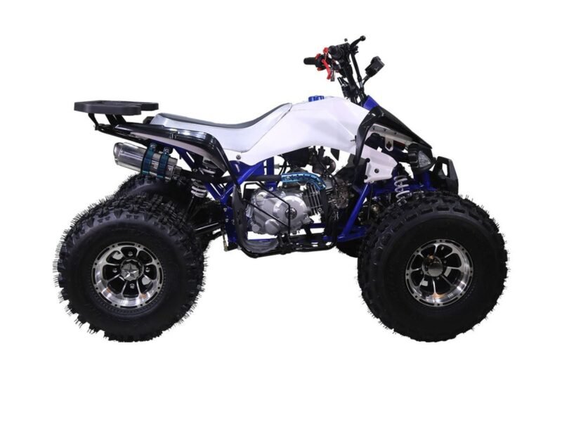 Tao Motor Cheetah 125cc Mid-Size ATV, Fully Automatic with Reverse, 4-Stroke Air-Cooled Engine For Sale - Image 13