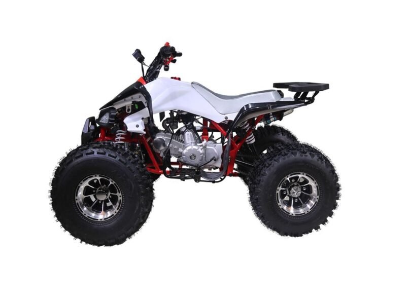 Tao Motor Cheetah 125cc Mid-Size ATV, Fully Automatic with Reverse, 4-Stroke Air-Cooled Engine For Sale - Image 14