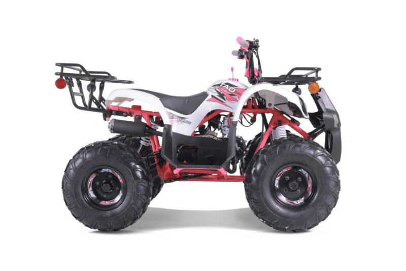 2022 T-Force 125cc ATV  For Sale - Image 2