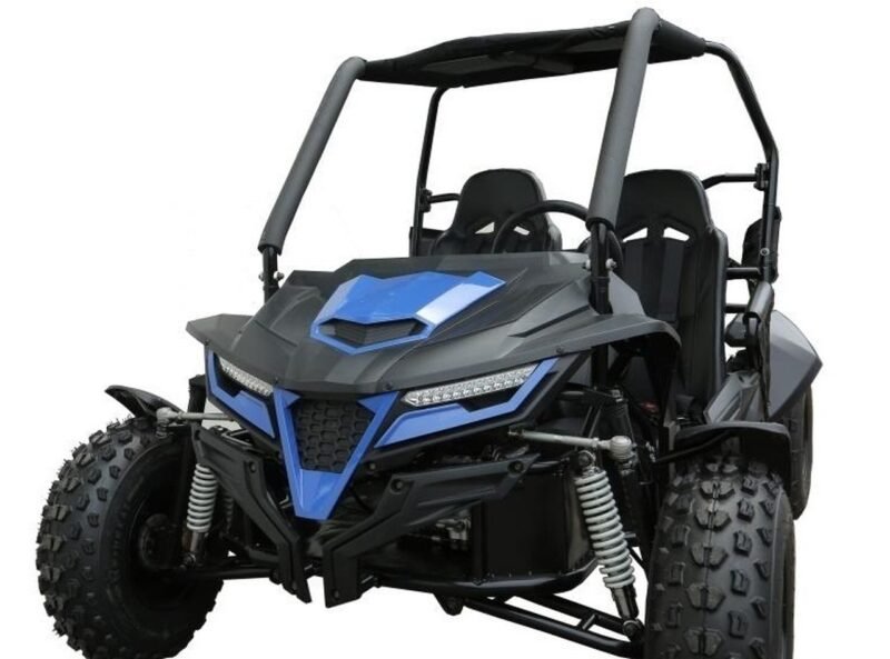 New TrailMaster Cheetah 200 Go Kart, 4-Stroke, Single Cylinder, Air Cooled, Automatic With Reverse For Sale - Image 2