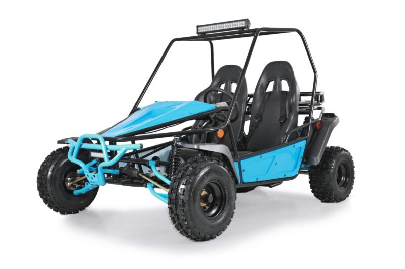 Tao Motor Baja Sport 200 Go-Kart, Air-Cooled 4-Stroke, Fully Automatic with Reverse For Sale